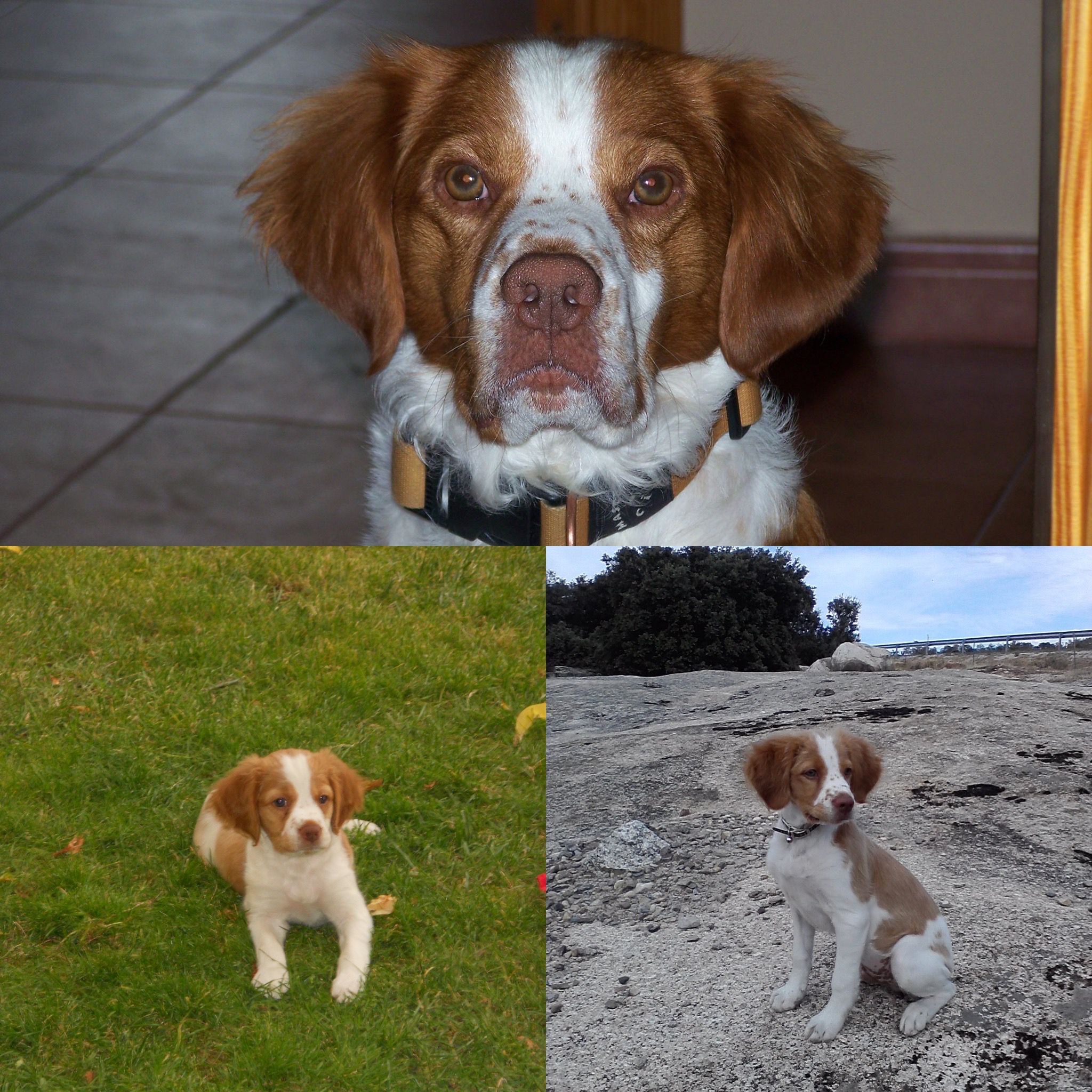 Coco